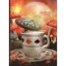 Тетрадка тв. кора  А5 80л. офсет спирала